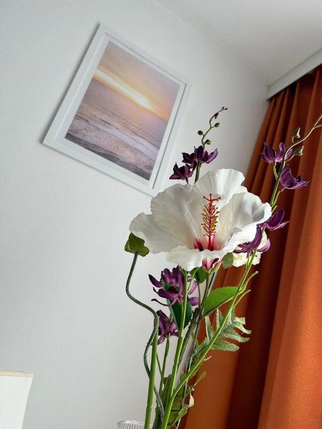 Apartment Harmony Грац Экстерьер фото